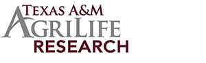 Texas A&M AgriLife Research logo