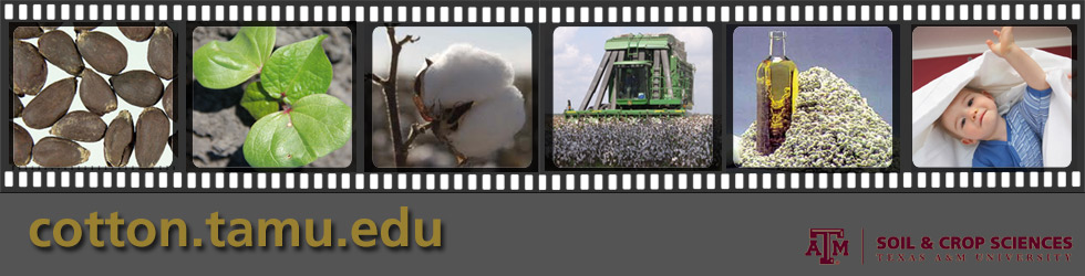 header with various cotton images including seeds, cotton boll, harvsting, cottonseed oil and a baby in cotton sheets